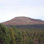 v0102.jpg