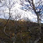 v0213.jpg