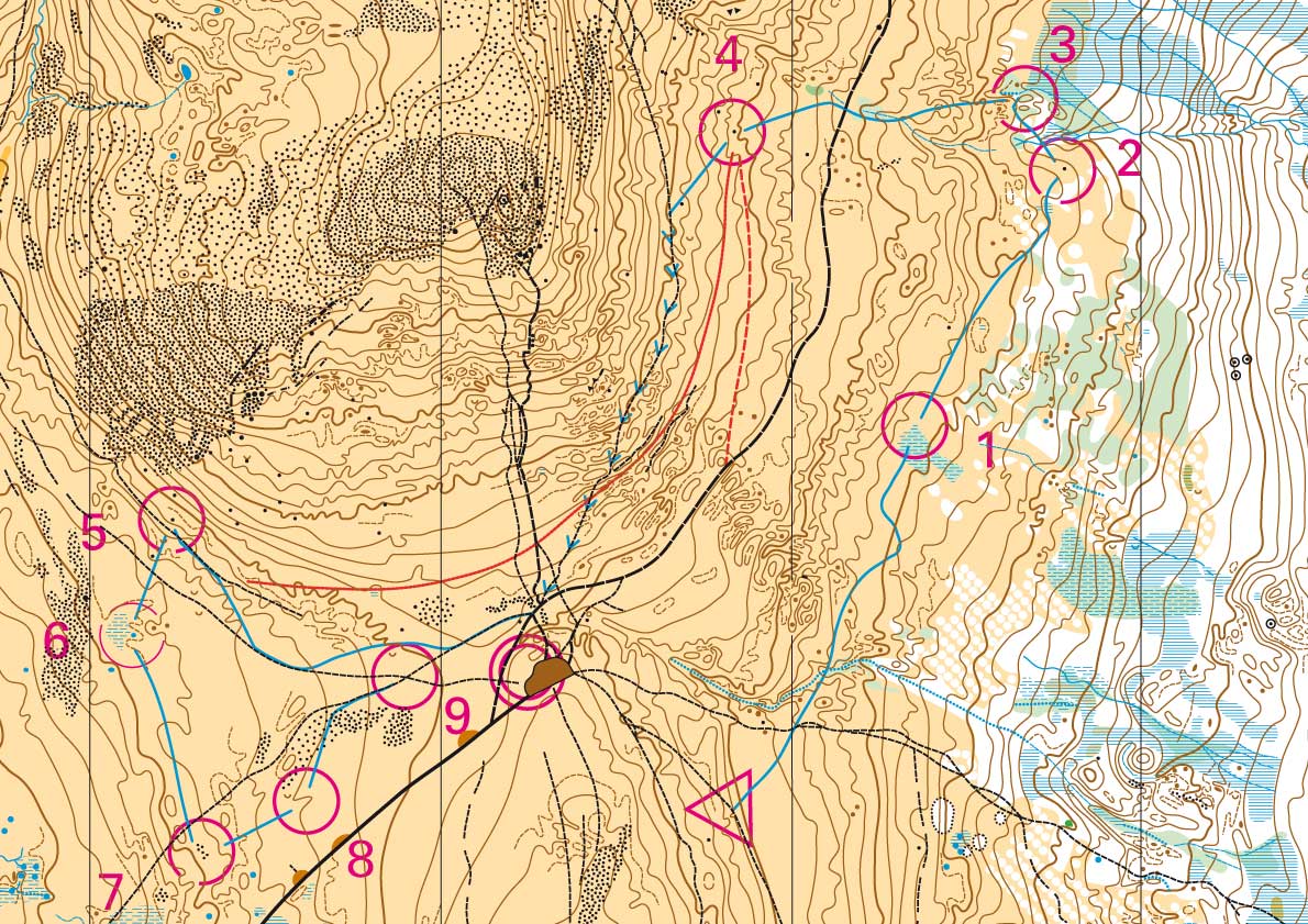 Orientering på Idrefjäll - D14 på Idre Fjäll-OL